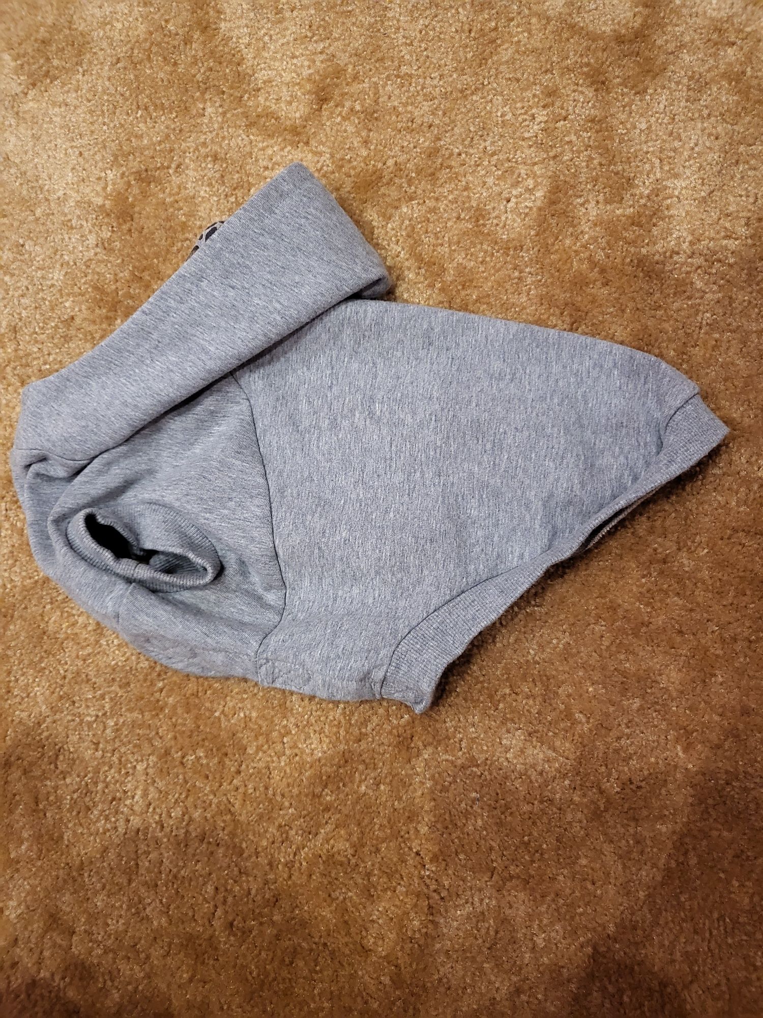 Ubranko dla psa H&M roz. M