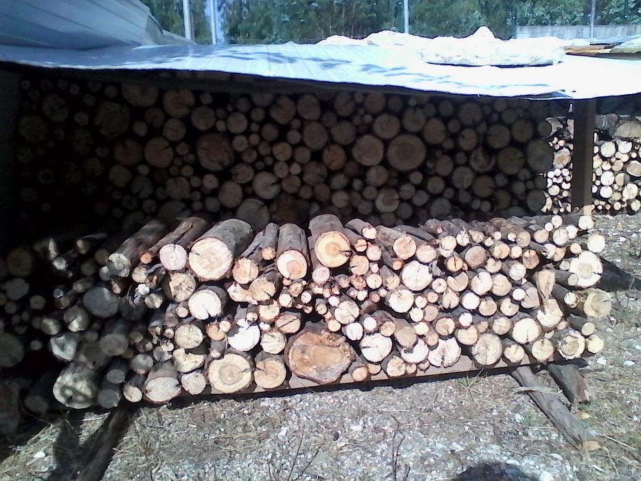 Vende-se Lenha de Eucalipto/Eucalyptus Firewood For Sale