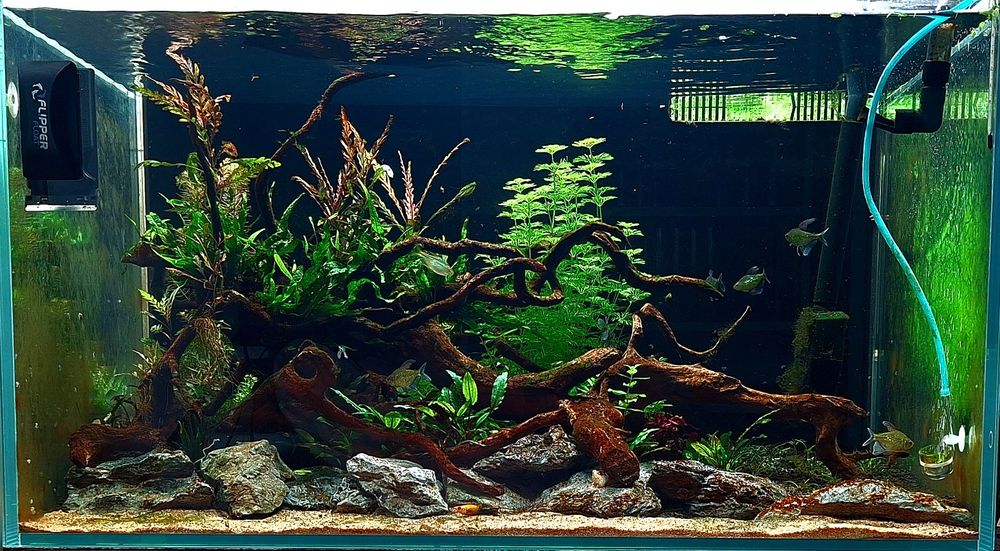 Akwarium 90x60x50