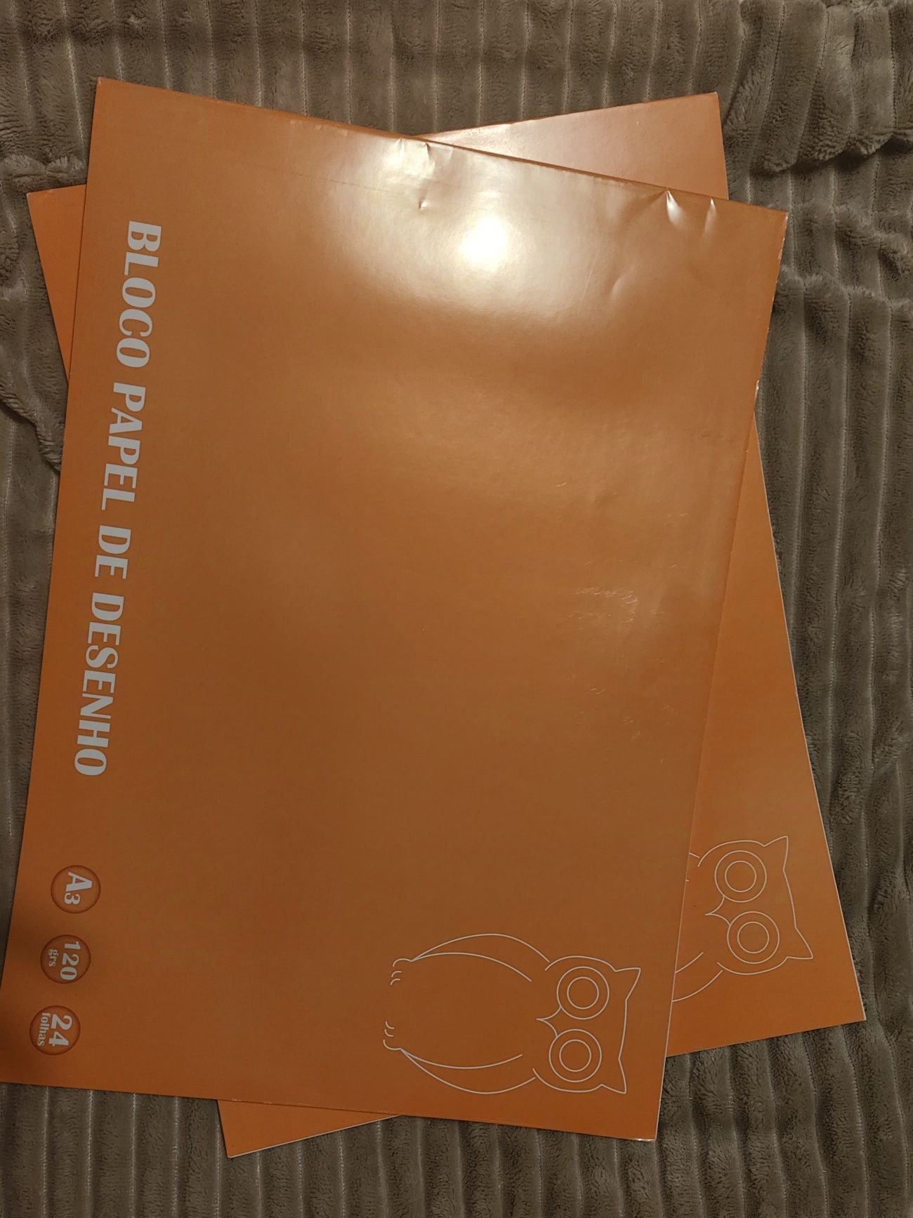 2 blocos de papel de desenho A3