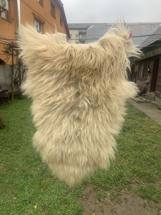 Гарне хутро можна шити можна в авто