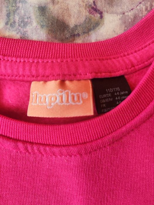 Світшоти на осінь- весну  з начосом в ідеальному стані лупілу,сенсей