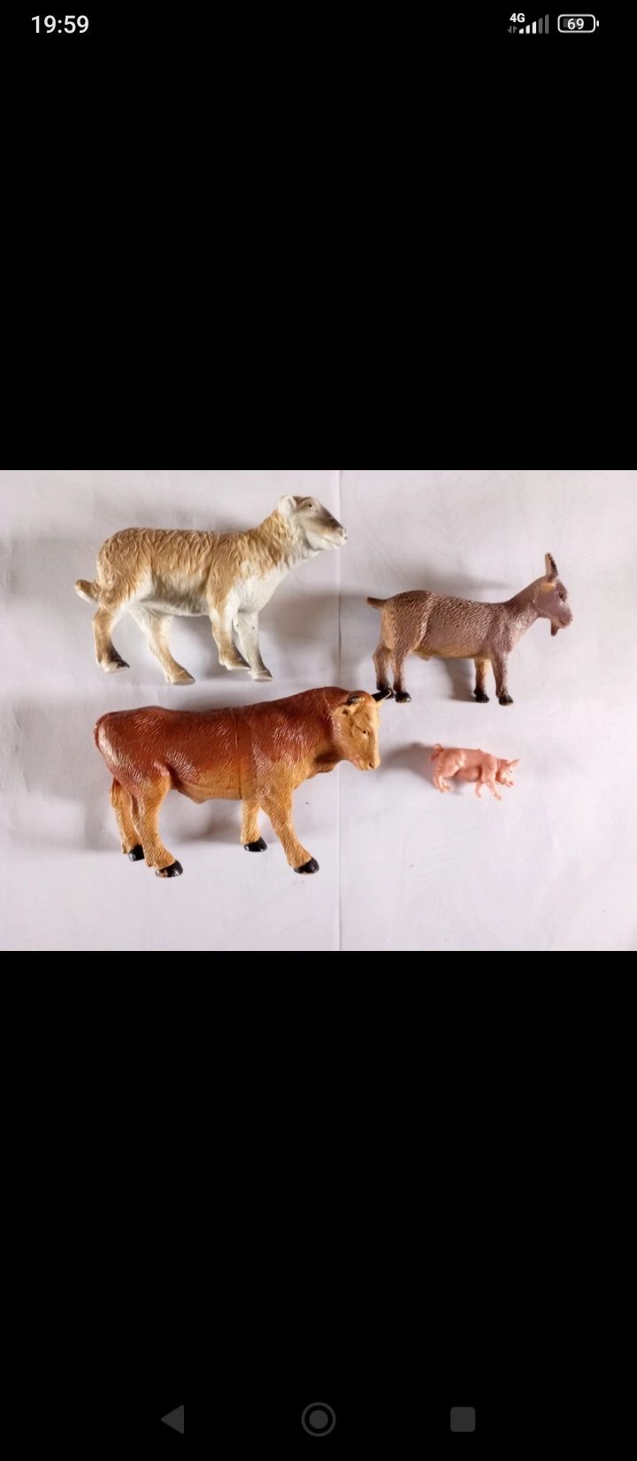 6 Animais de quinta