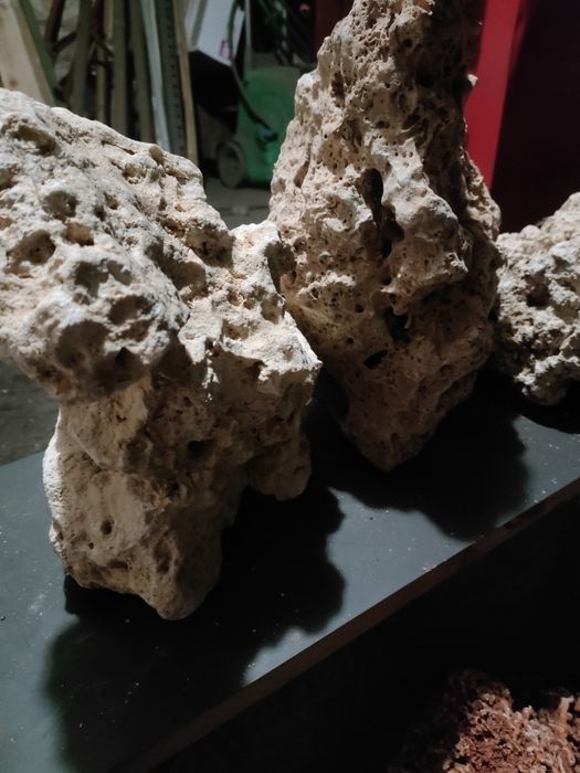 Akwarium oraz wapień Filipiński