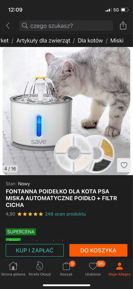 Fontanna dla kota, wysoka jakosc