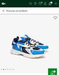 Tenis lacoste N° 43