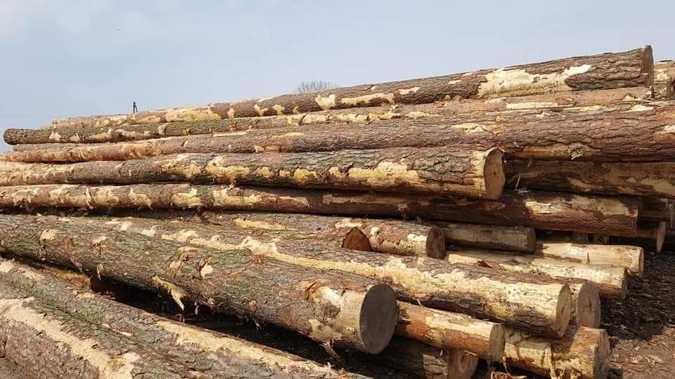 Więźba dachowa 1250 zl m3 drewno na dach