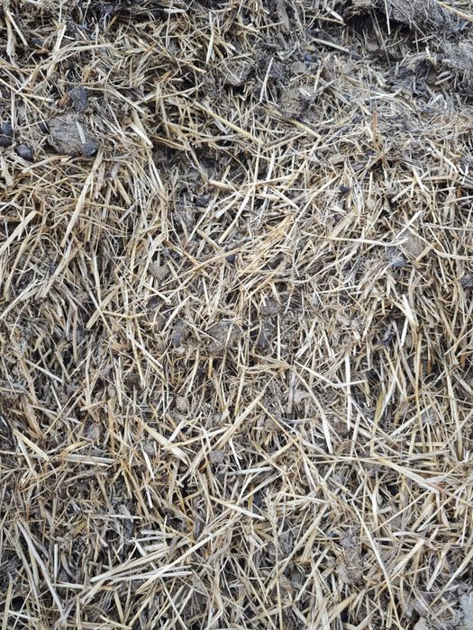 Навоз конский в мешках