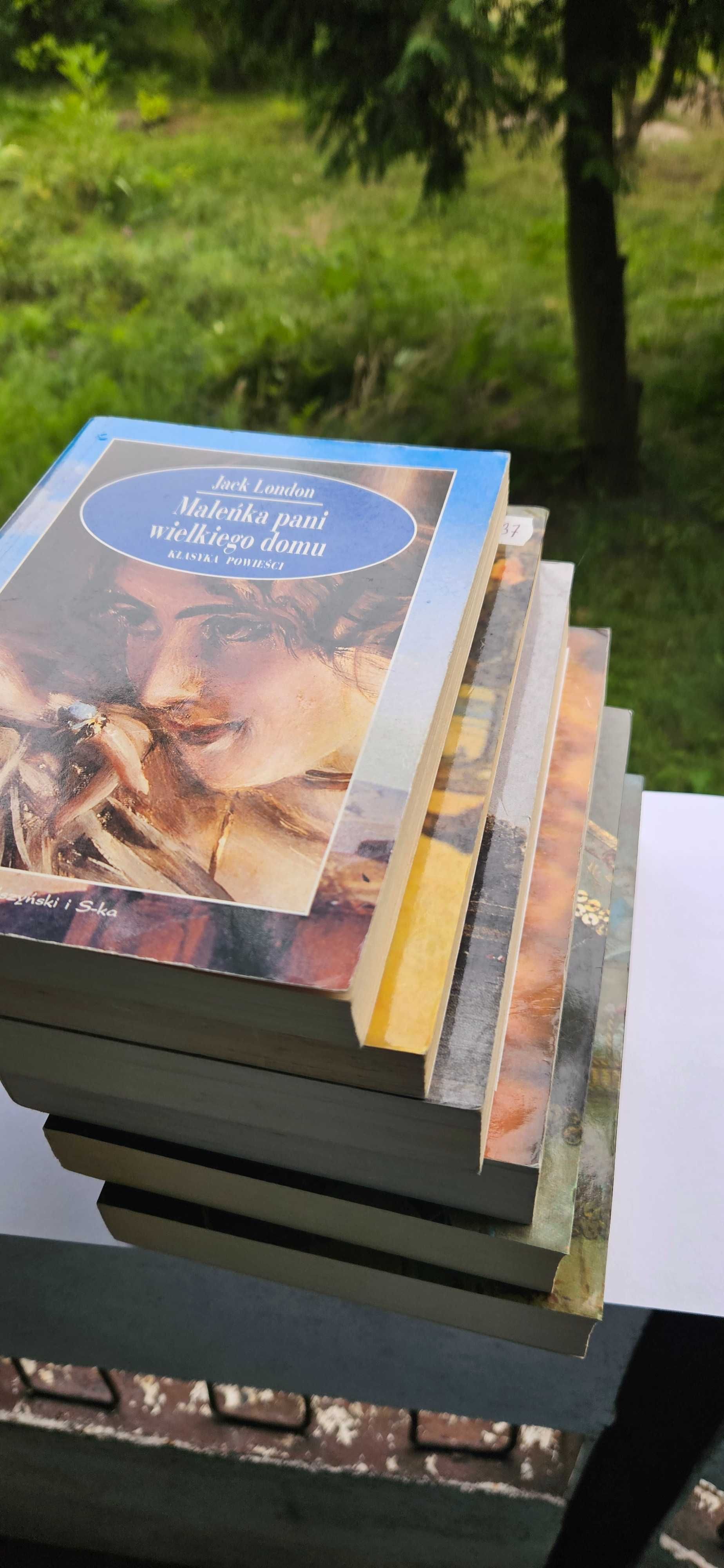 Literarura piękna pakiet książek- Prószyński i S-ka