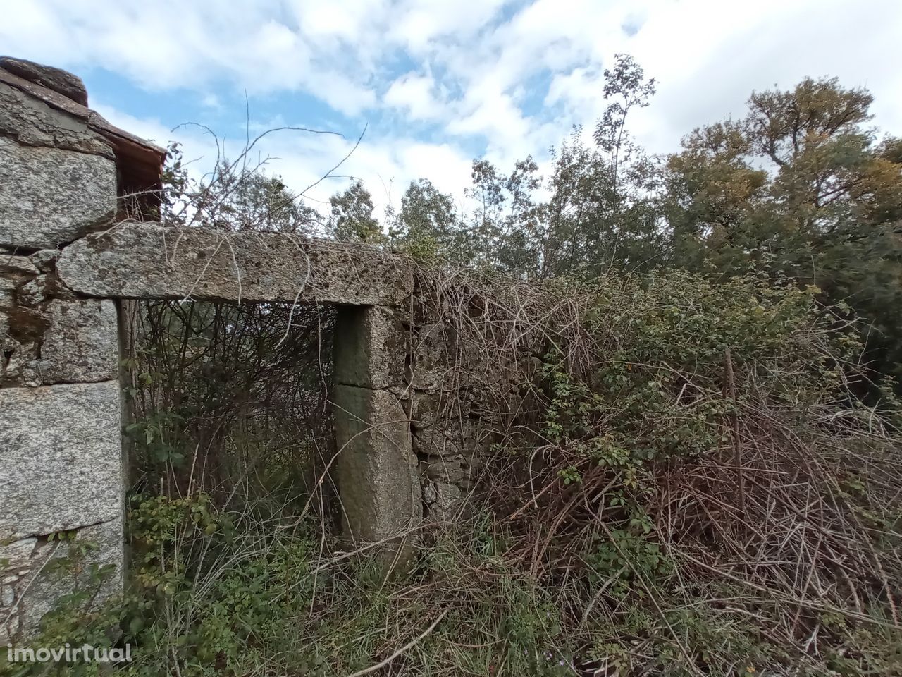 Propriedade em Aldeia do Bispo