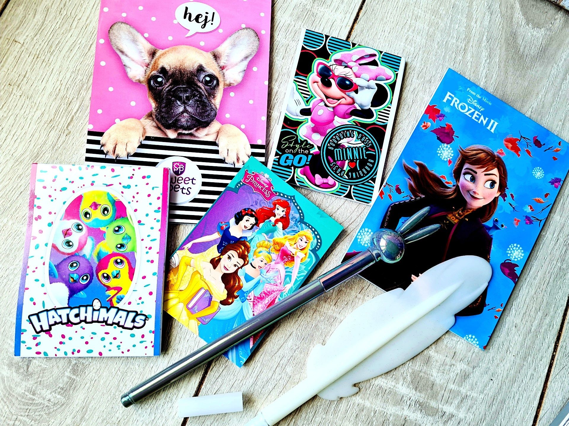 Super zestaw kreatywny Notesy + długopisy Frozen Księżniczki - zabawki