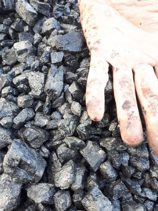 Уголь орех кулак