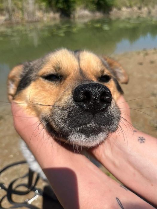 Parys błaga o dom !