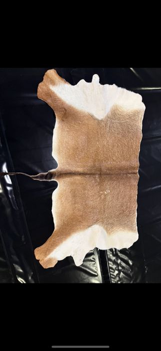 Skóra antylopy Roan (koby śniadej) – naturalna