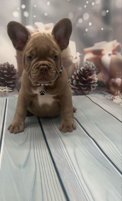 Самі кращі малюки два щепленя