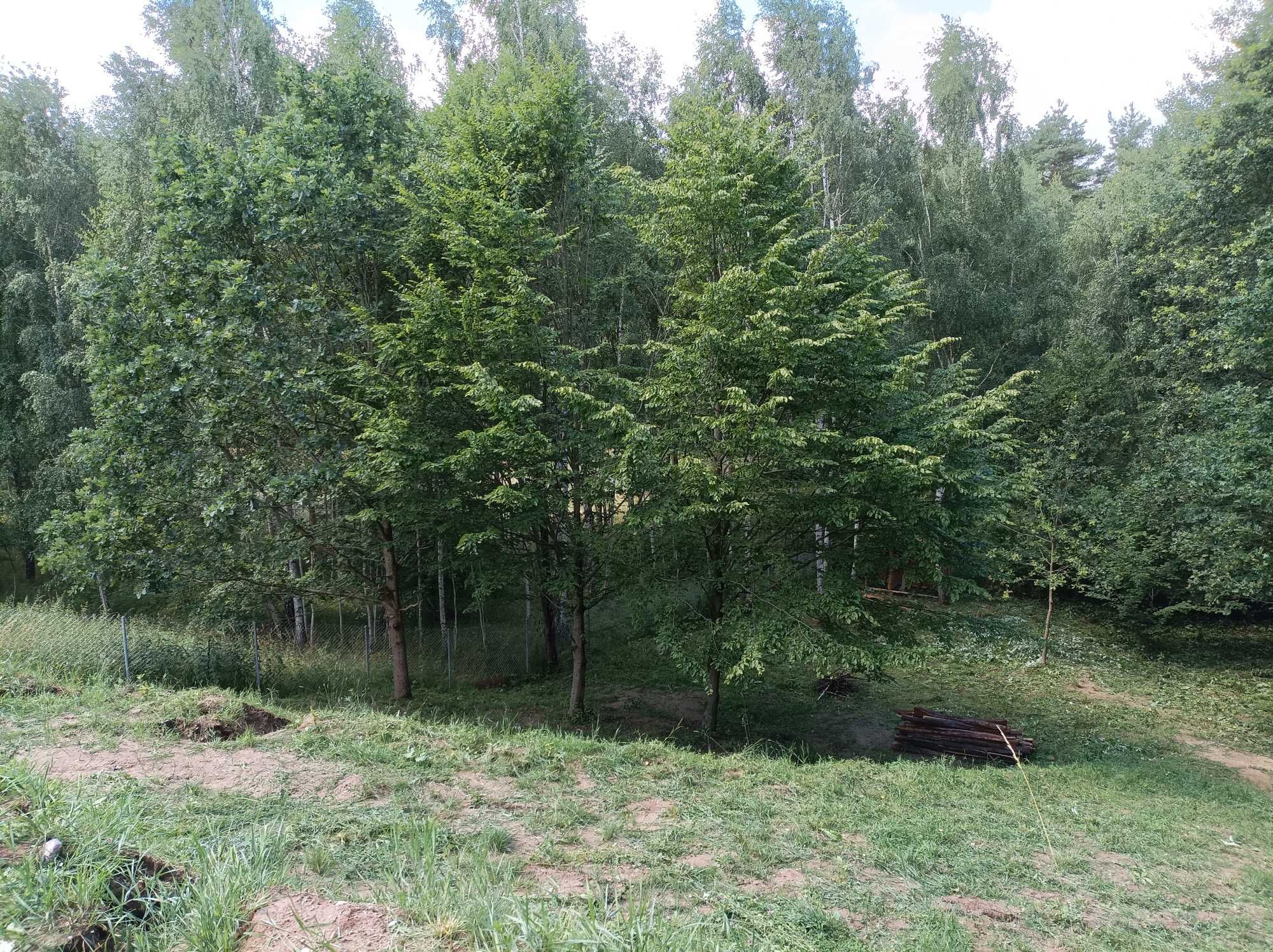 Sprzedam działkę