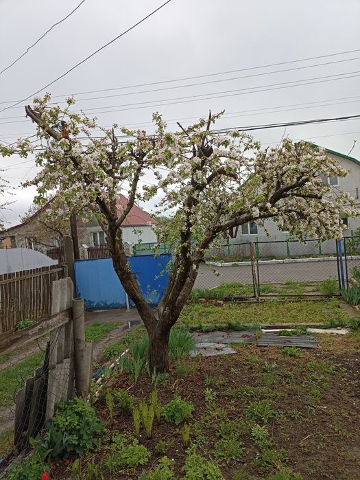 Насадка на мотокос,діаметр 28мм внутрі шліци діаметр 7мм.
