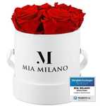 Zestaw 4 wiecznych róż w pudełku MIa Milano