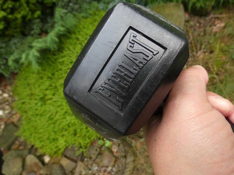 Hantle ciężarki EVERLAST 3 kg