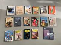 Livros escolares de leitura obrigatoria