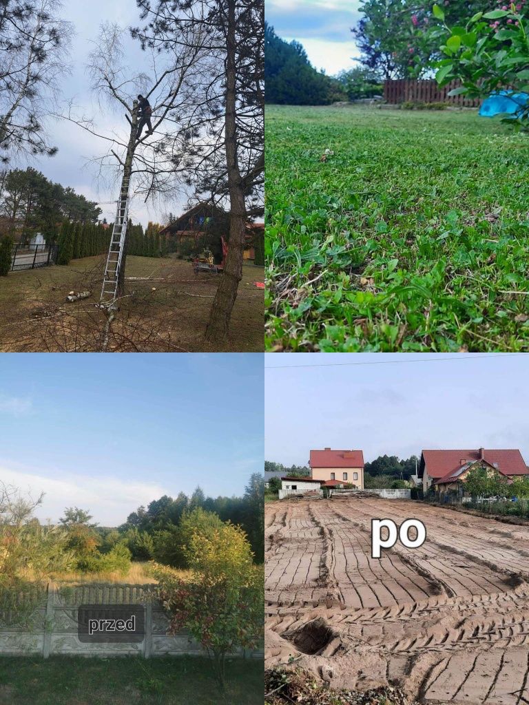 Witam, oferuję wycinki drzew,koszenie traw,mulczer itp.