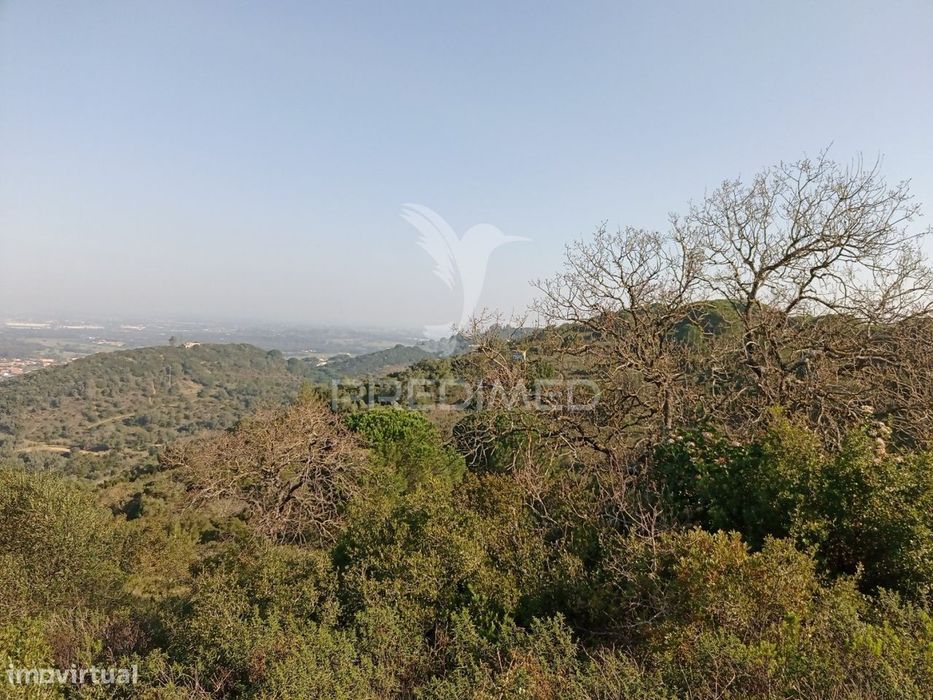 Terreno Rustico em São Francisco da Serra