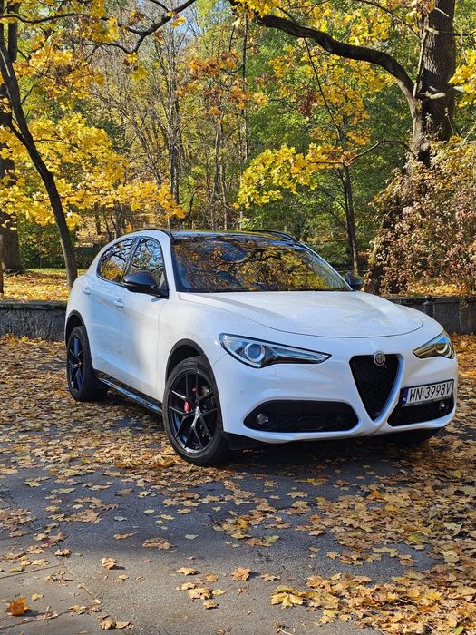 Alfa Romeo Stelvio Alfa Romeo Stelvio 2.0 Turbo 280 KM | Q4 | Białe wnętrze | Unikatowa k