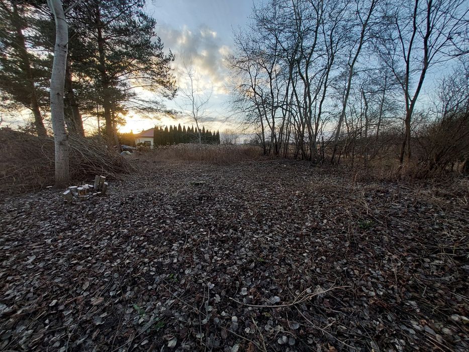 Usługi budowlane ogrodnicze, prace ziemne, wycinka drzew/krzaków rębak
