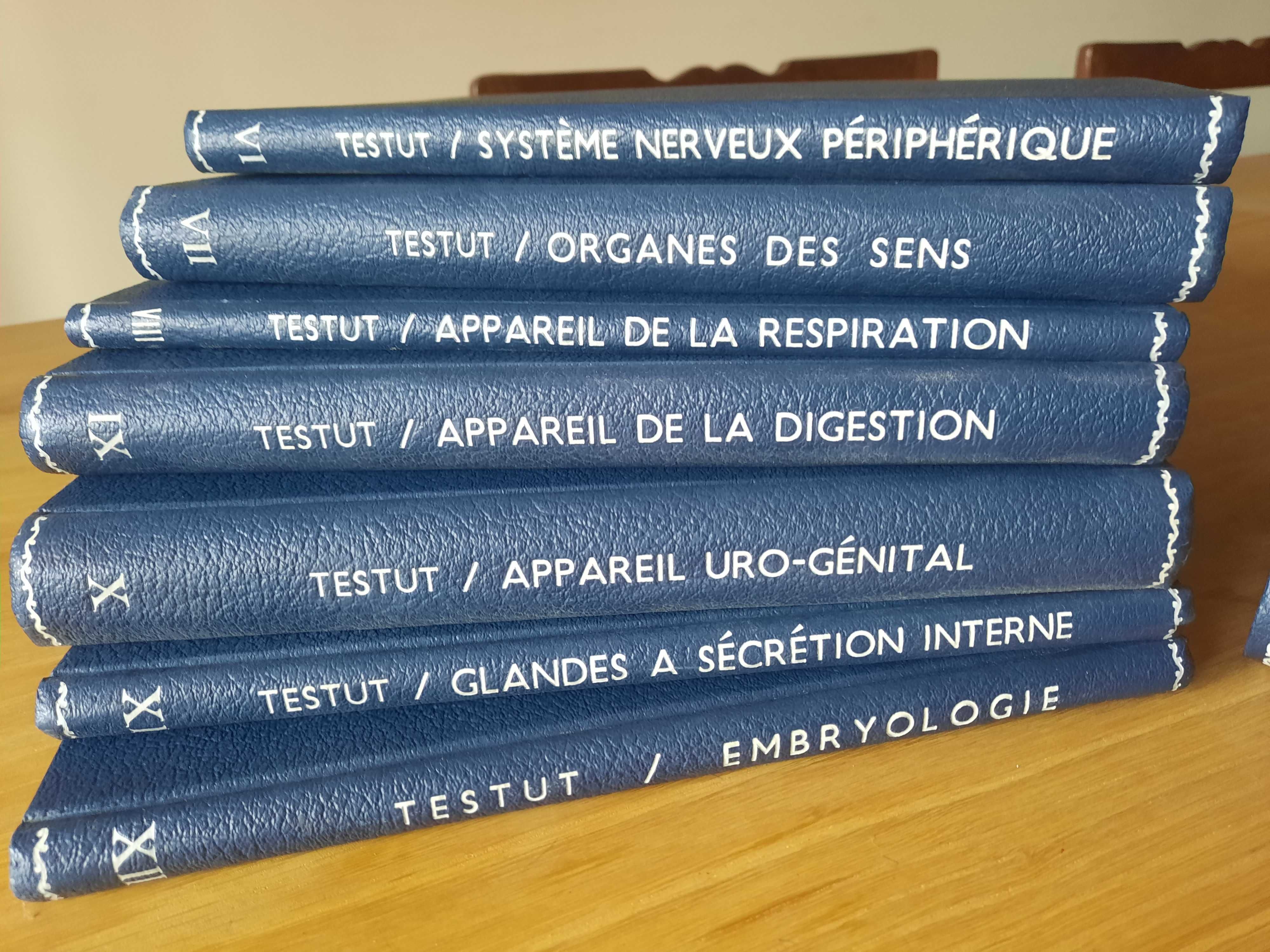 Tratado Anatomia - Testut , L .