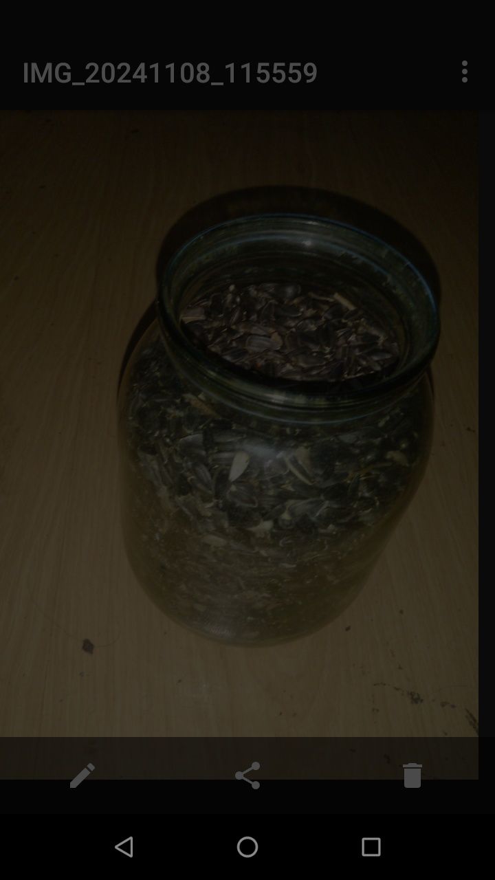 Сонях кукуруз пила