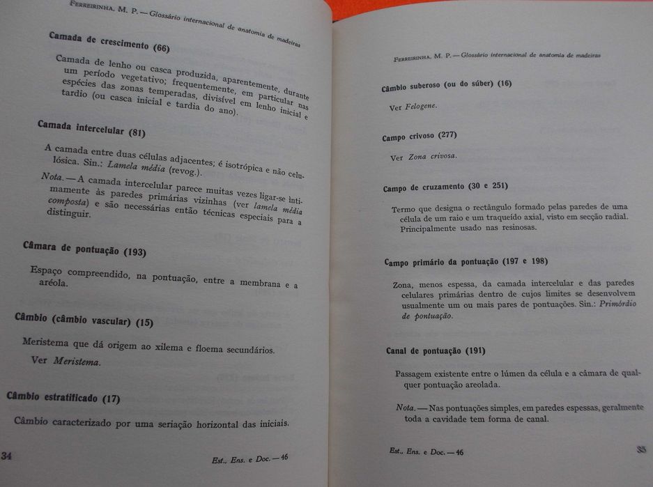 Glossario Internacional dos Termos Usados em Anatomia das Madeiras