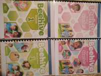 Beehive starter,1,2,3,4,5,6