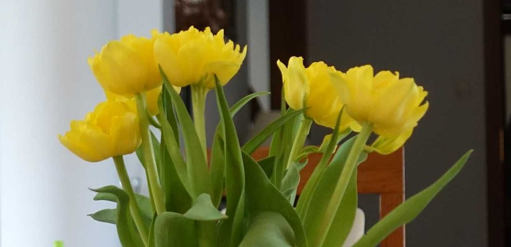 Kultowy SONY DSC RX100 M5