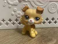 LPS figurka pop Collie