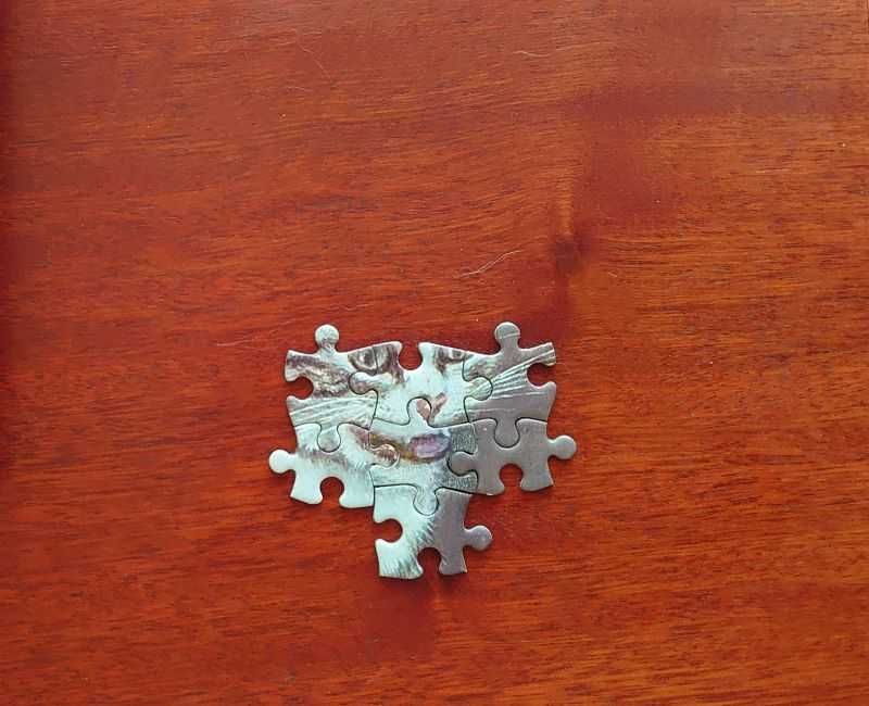 Arrow Puzzles 1000 - At Bay (kotek , pieski)