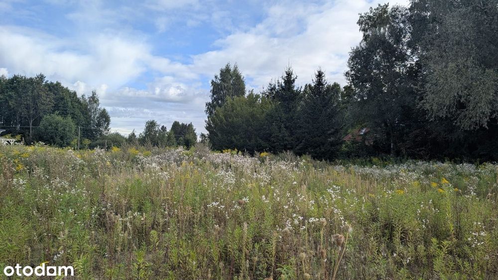 Działka budowlana w Dywitach