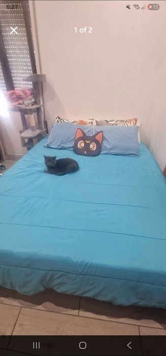 Cama de casal 2m