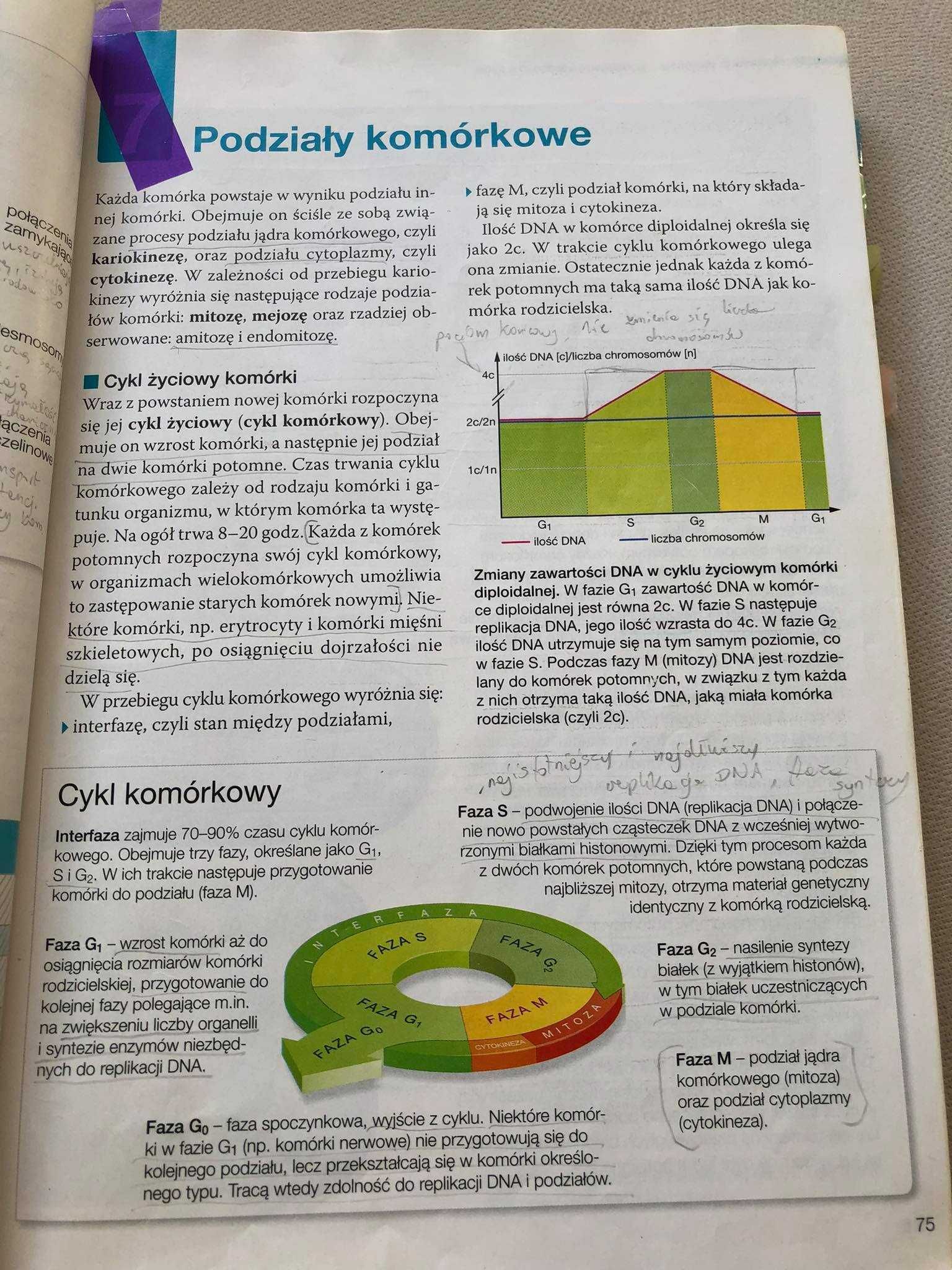 Biologia na czasie 1 - podręcznik