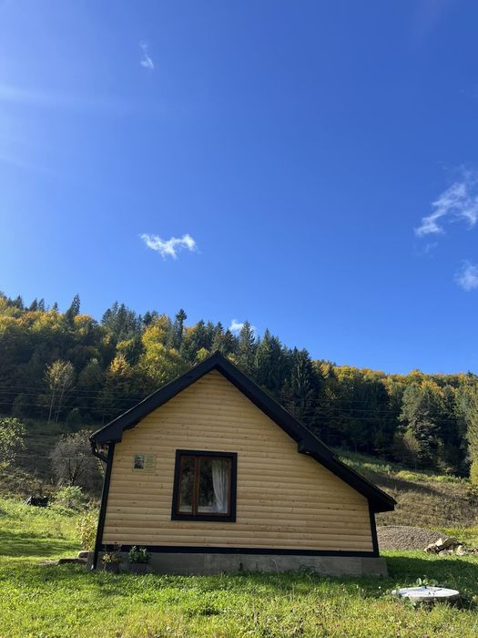 Здається будиночок в Карпатах