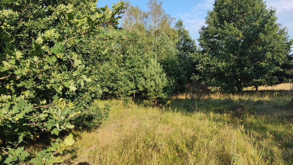 Działka budowlana 1904 mkw w Janowie - możliwa zamiana na mieszkanie