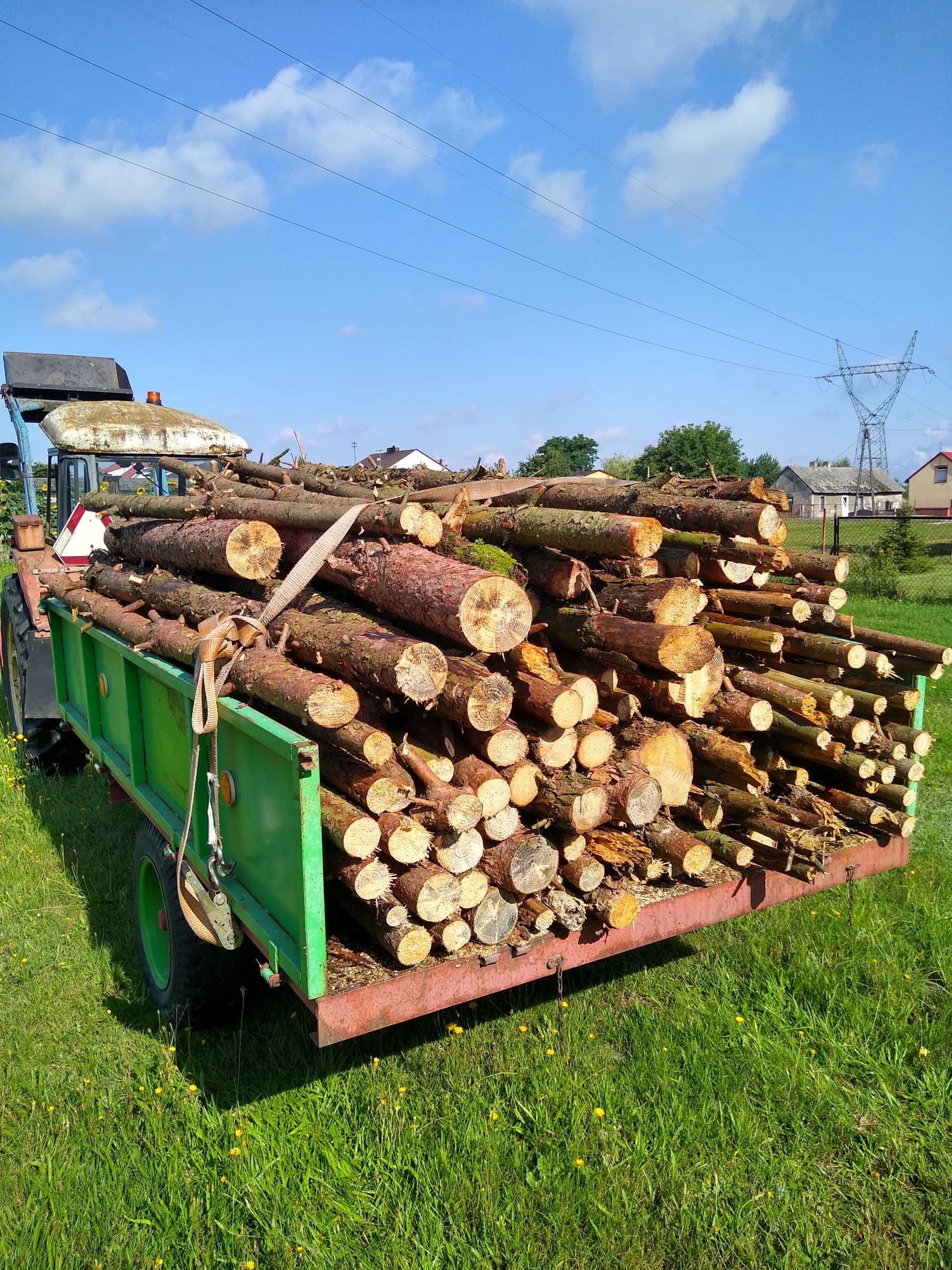 Drewno opałowe sosnowe 170 zł za 1m przestrzenny