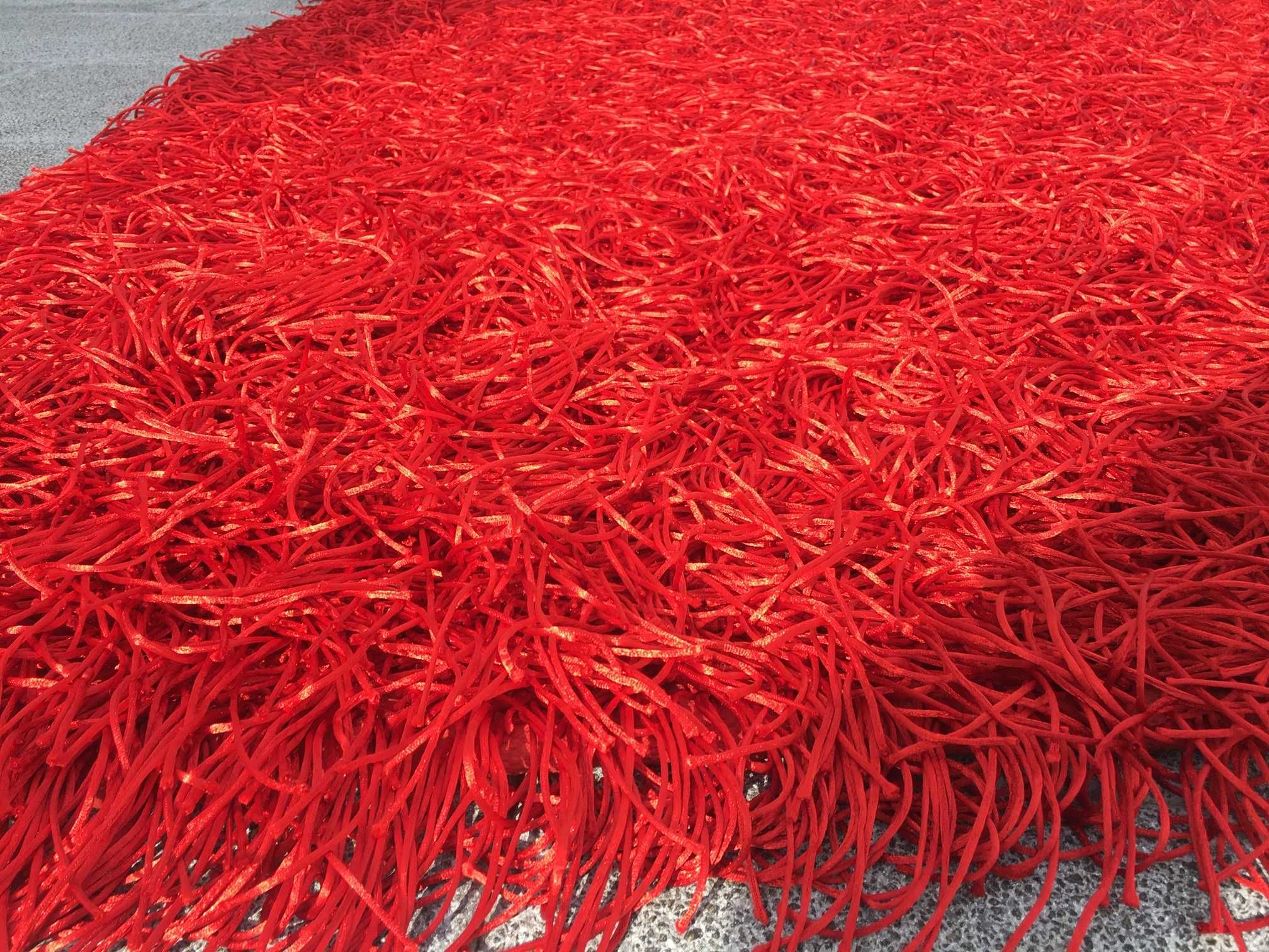 Carpete vermelha pelo longo 236x165cm