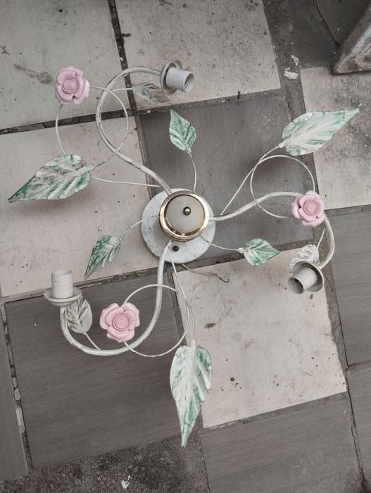 Лампа та плафони