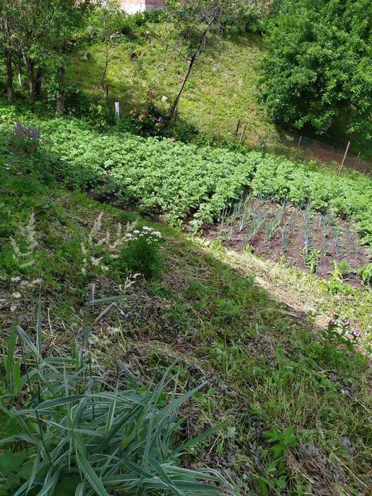 Продам житловий будинок м. Монастириська, 87.8 м2, з ділянкою та садом