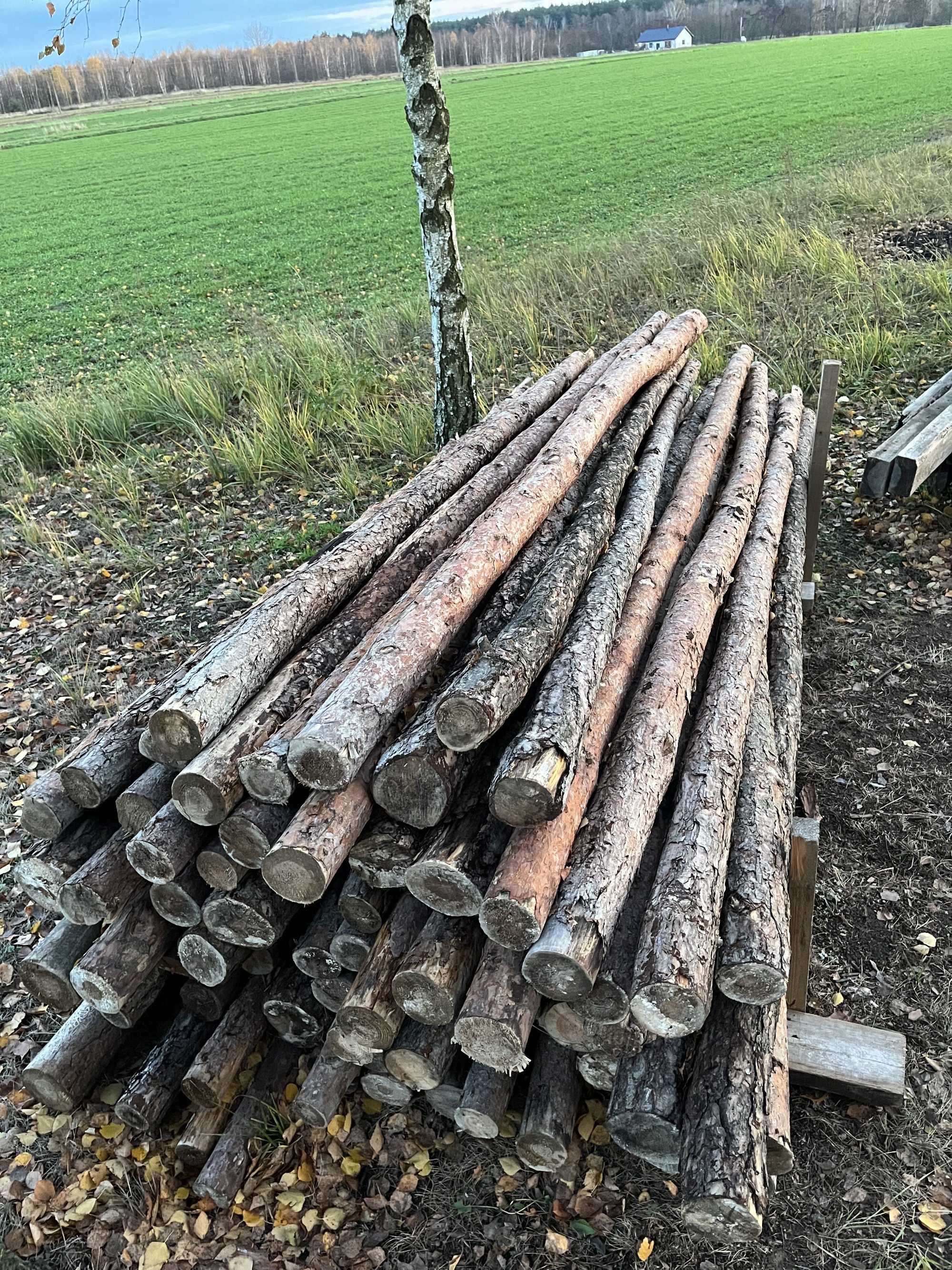 Stemple 71 sztuk 2,9m