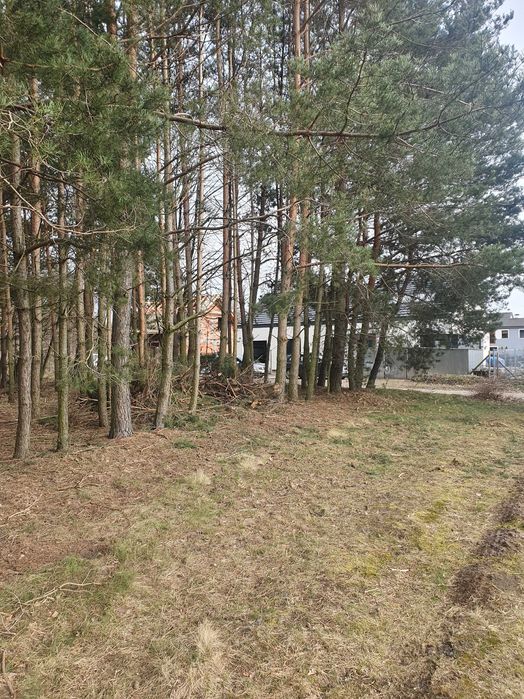Działka budowlana Czmoń koło Kórnika 707 m2 z widokiem na las.