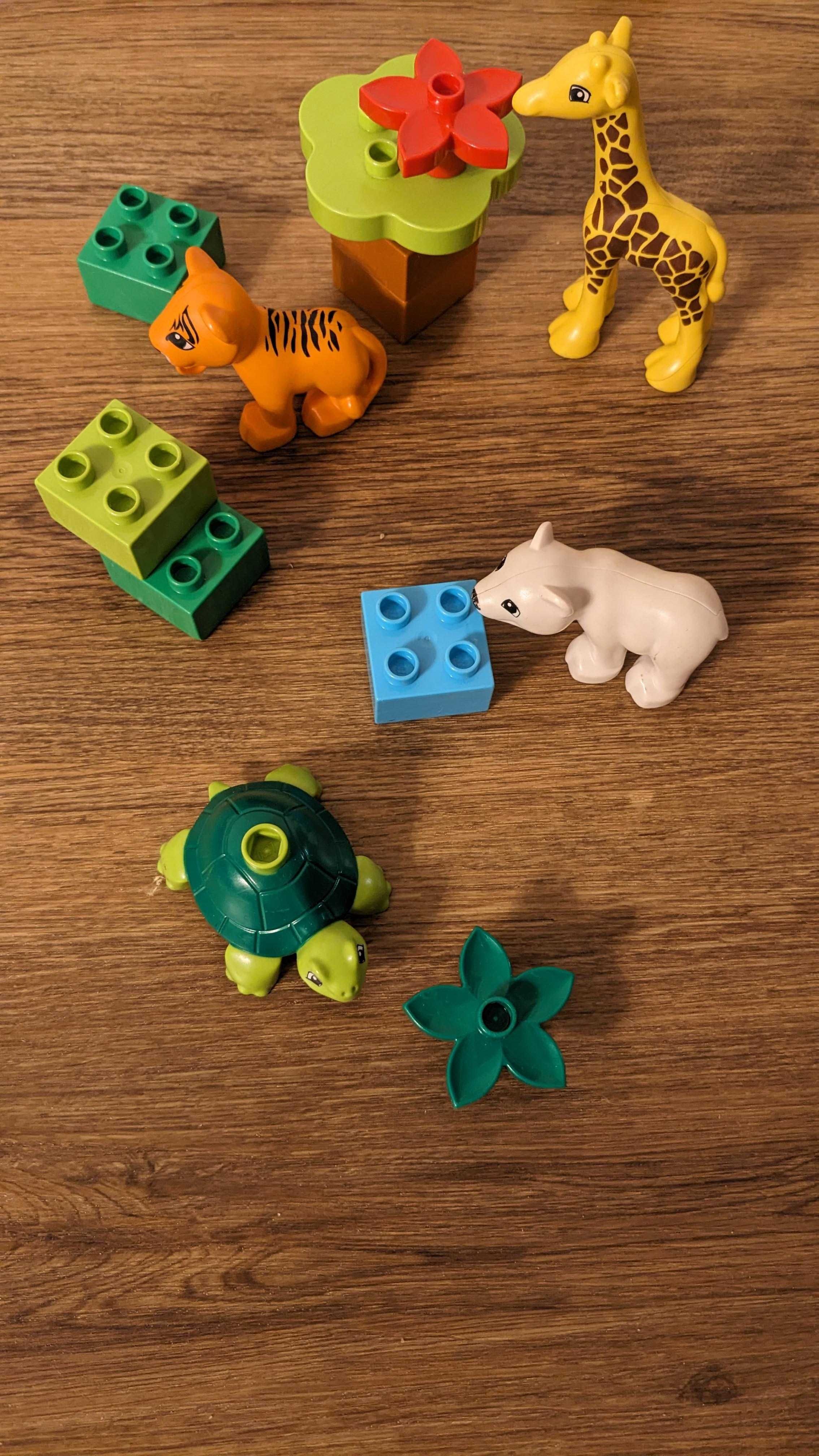 DUPLO 10801 Zwierzątka zoo z dookoła świata - kompletny; inne zestawy