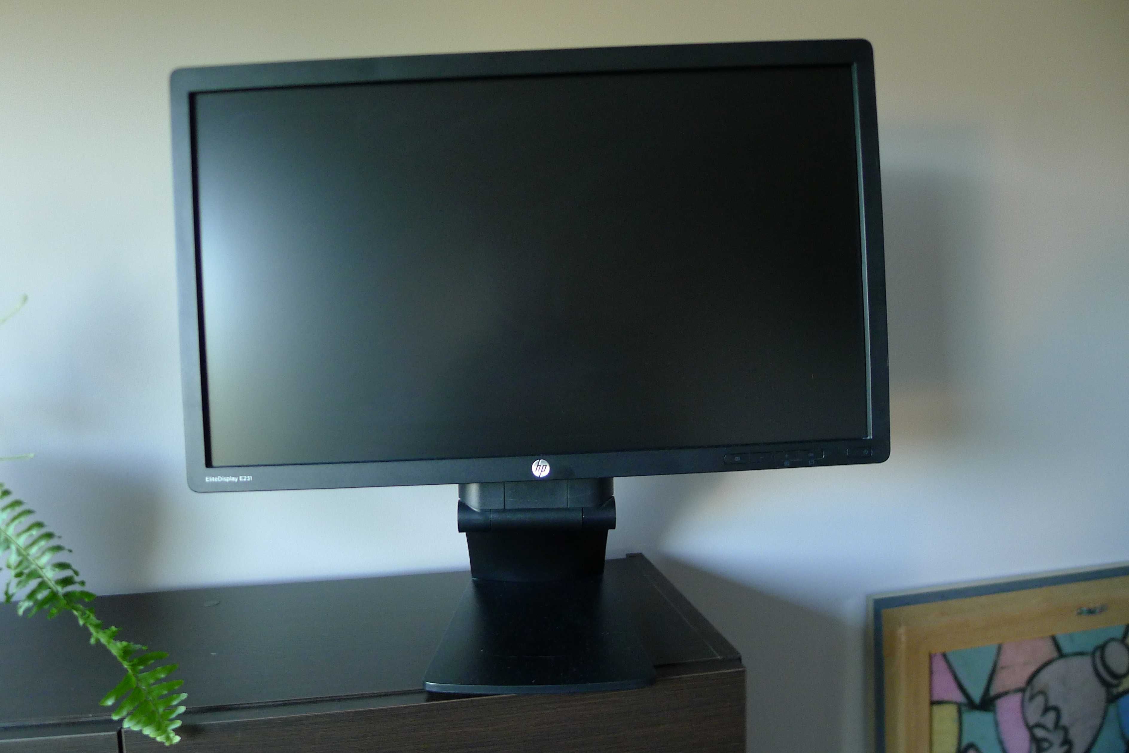 HP EliteDisplay E231 23"