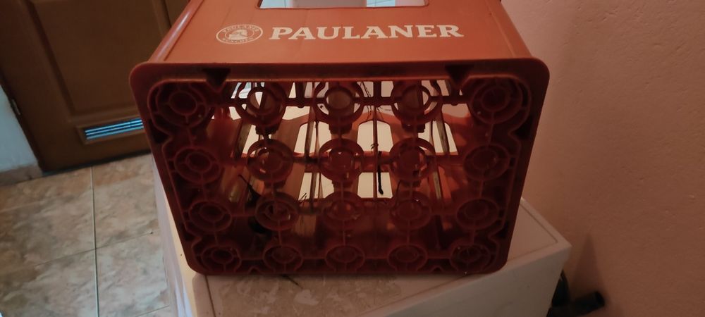 skrzynka piwo czerwona paulaner