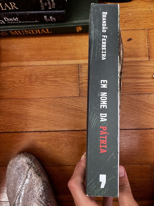 Em Nome da Pátria